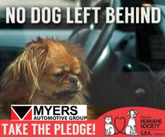 No Dog Left Behind! | Myers Auto Group